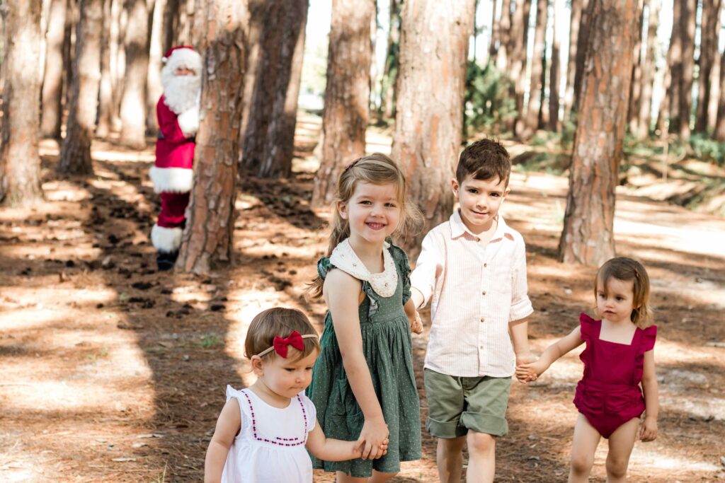 Christmas Photos in Miami Qld Pine forest