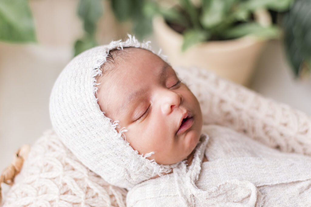 Newborn in a basket with plants gold coast qld