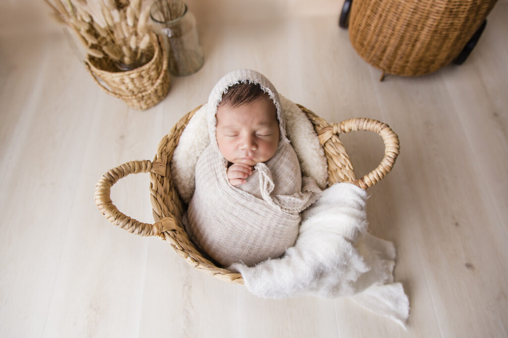 gold coast newborn photography pampas grass neutral set up