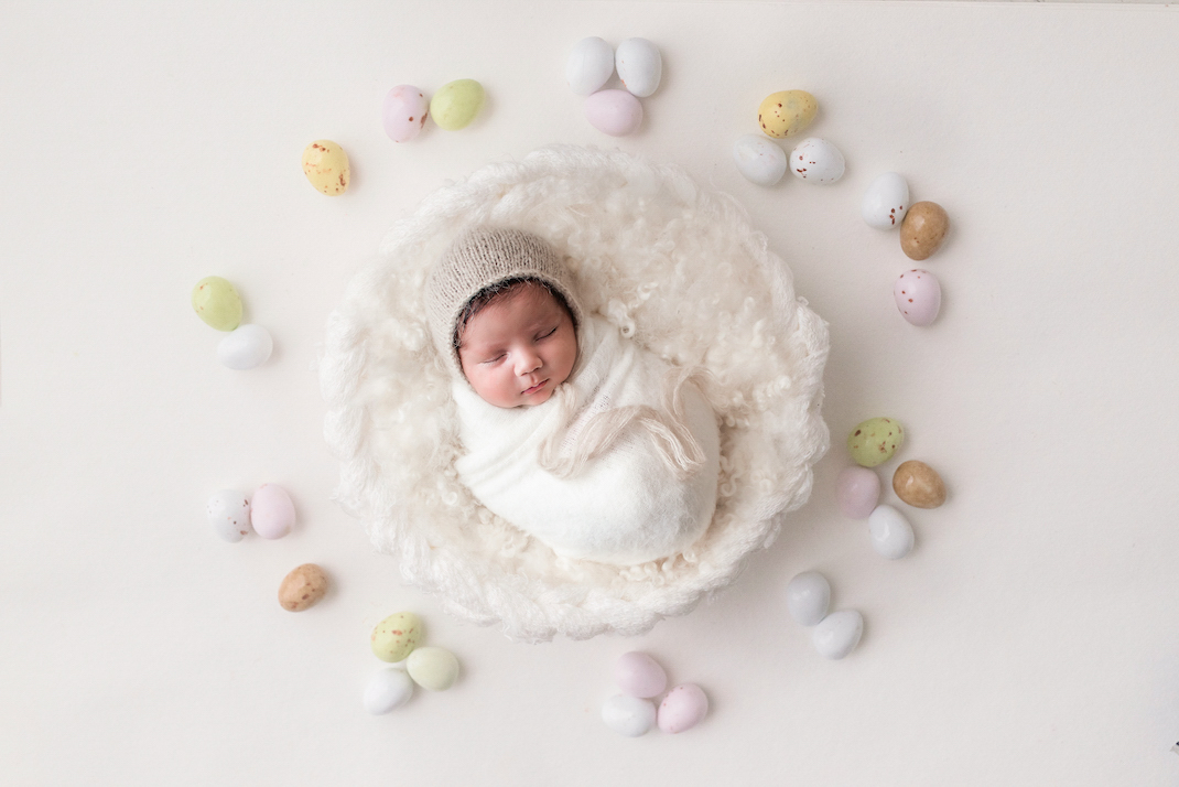 pastel egg backdrop newborn shoot broadbeach qld