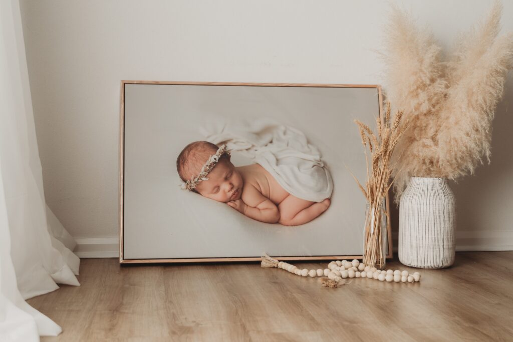 Tweed nsw newborn photography | canvas art